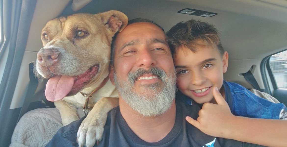  Consultoria para cães em Atibaia